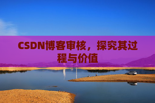 CSDN博客审核,探究其过程与价值